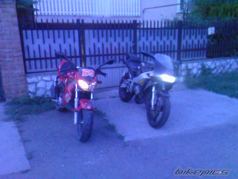 Photo 1378162