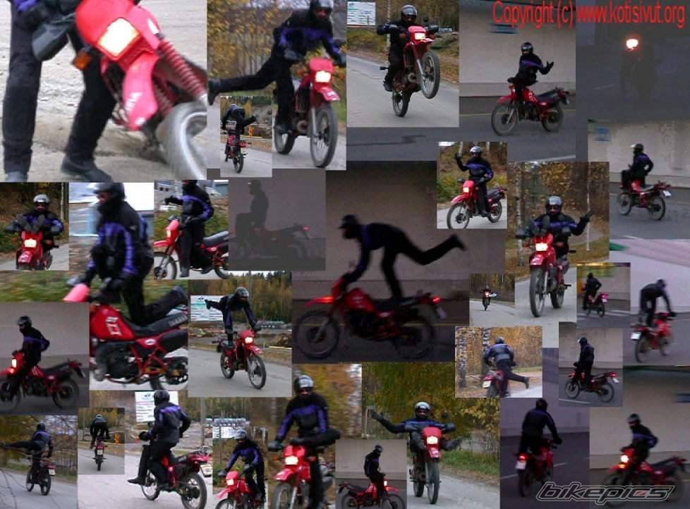 Bike Photo 13782