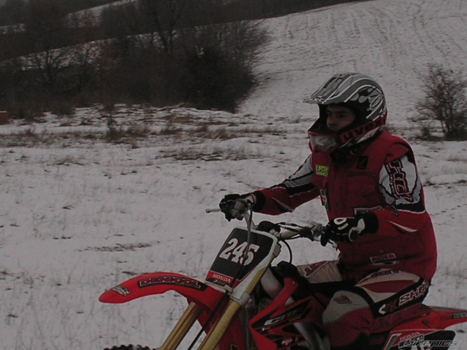 Photo 1378205