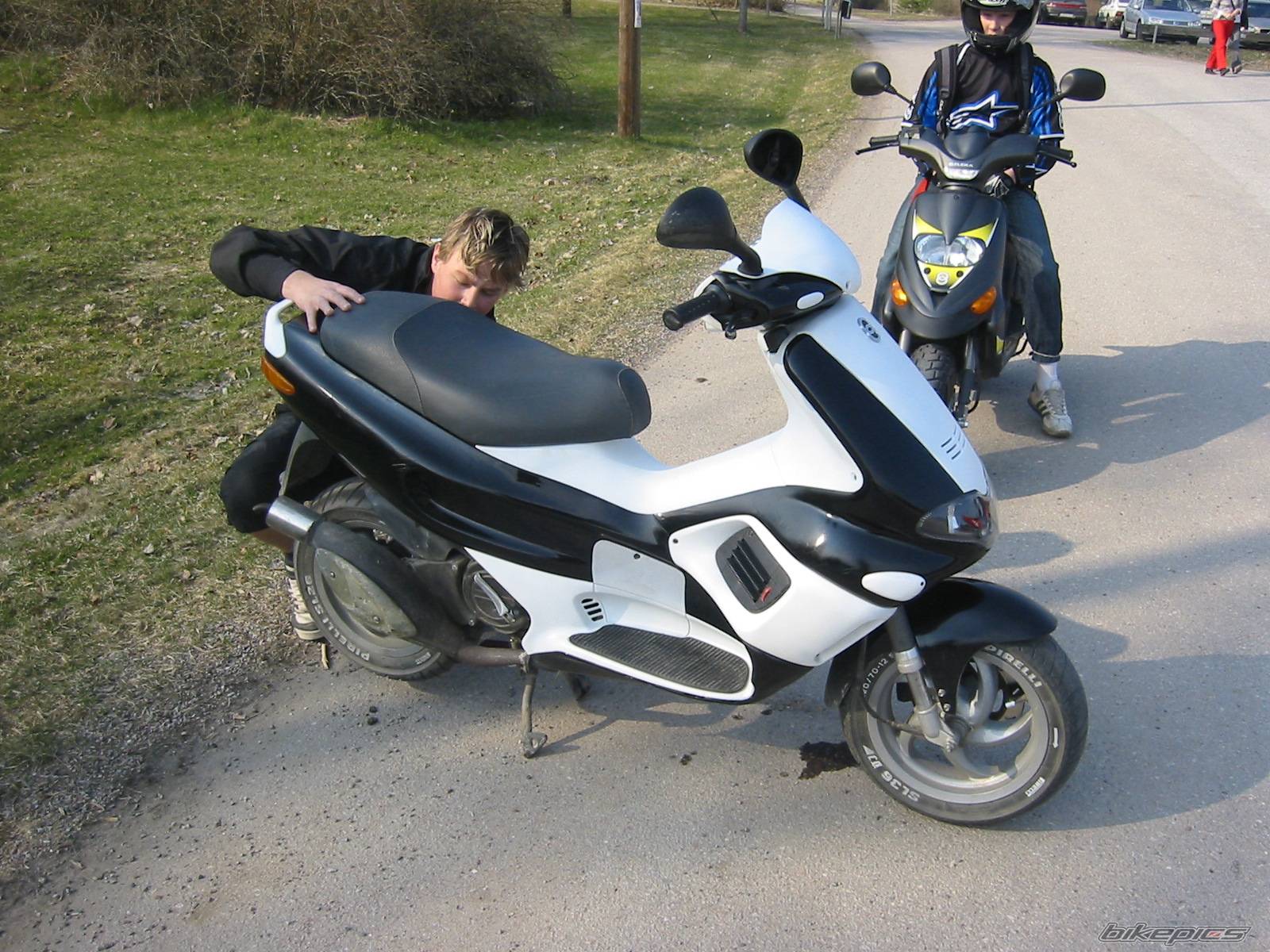 Photo 137829