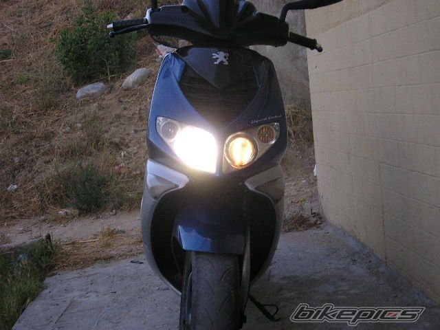 Photo 1378303