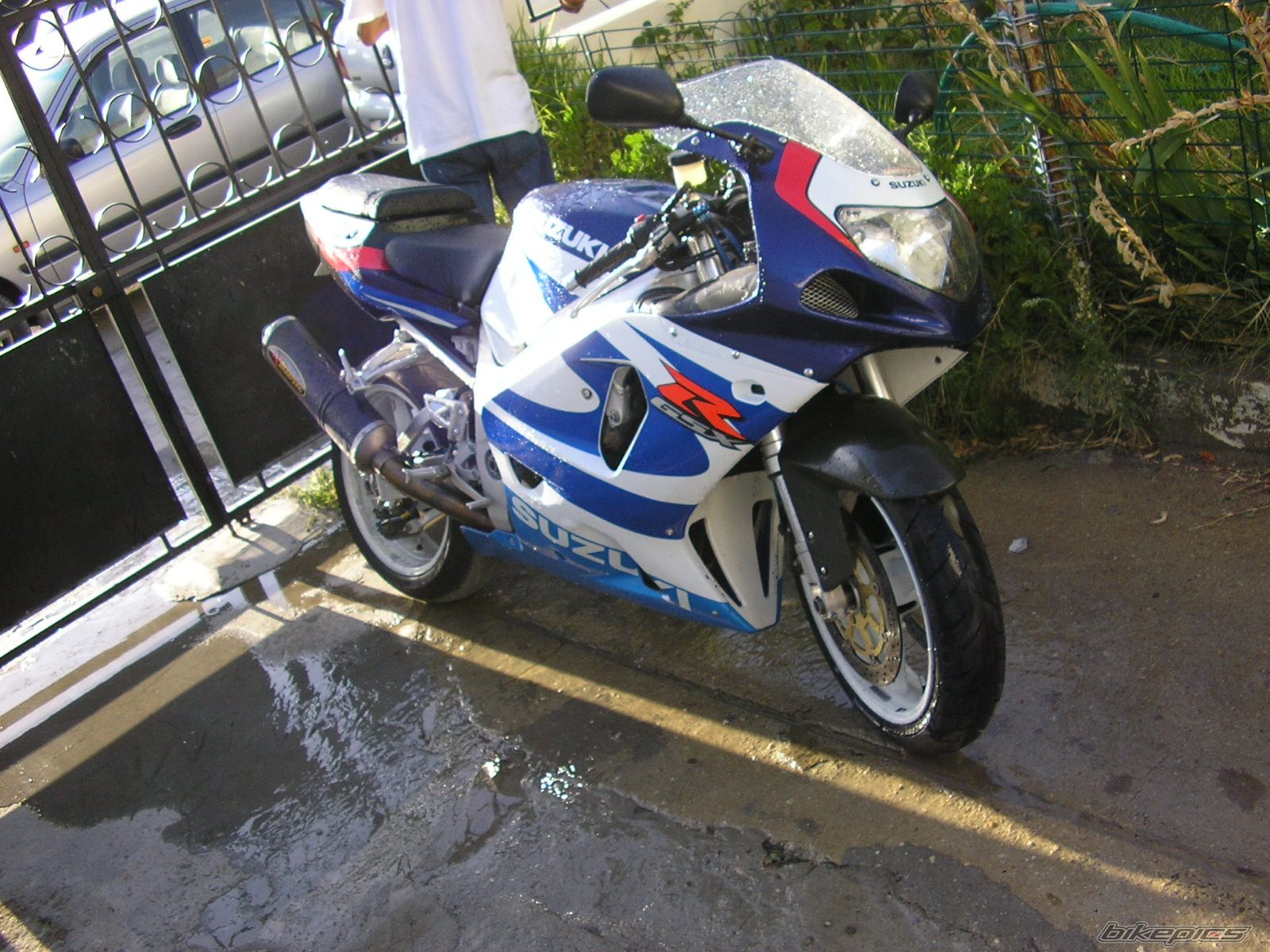 Photo 1378309