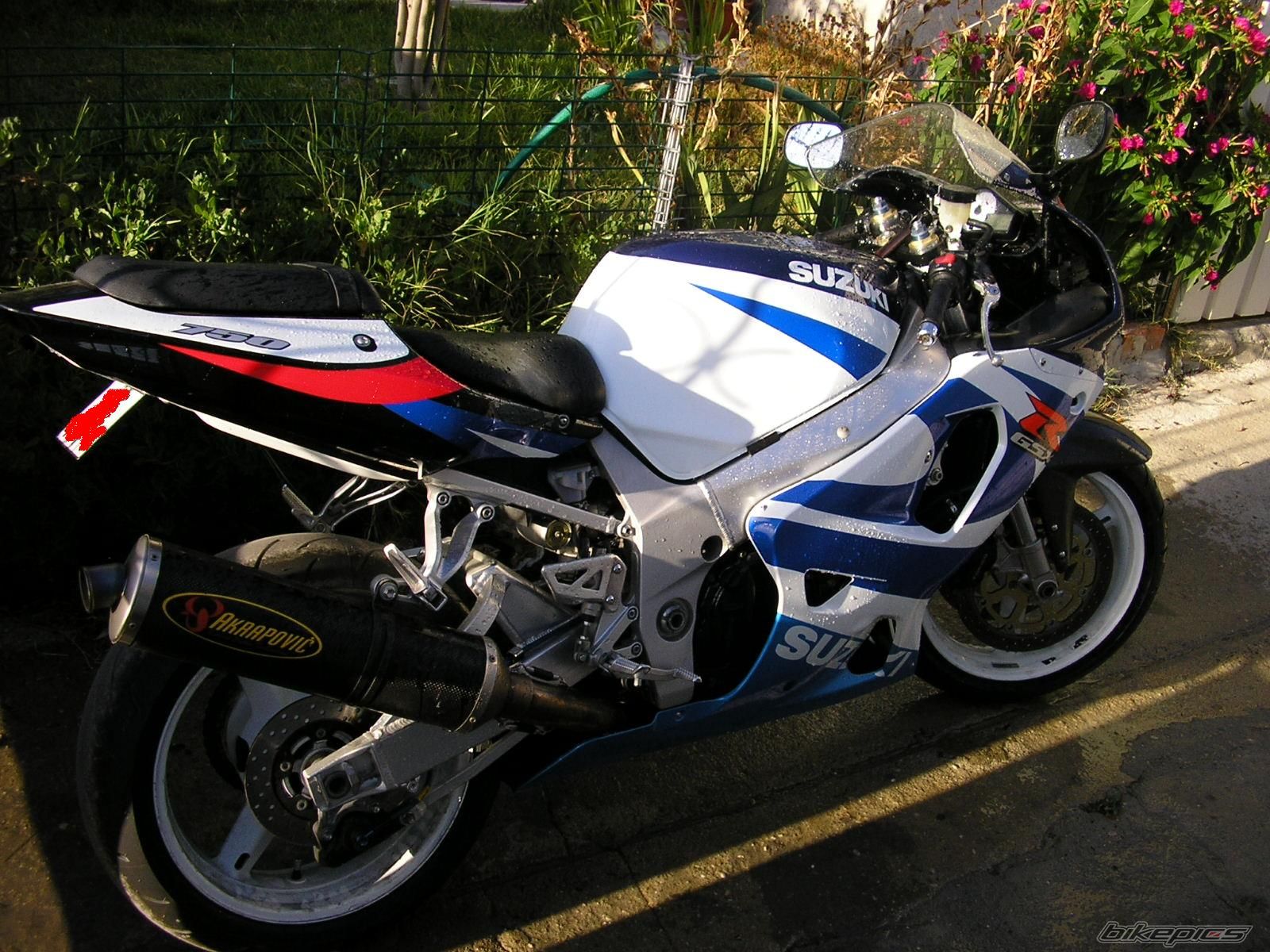 Photo 1378313