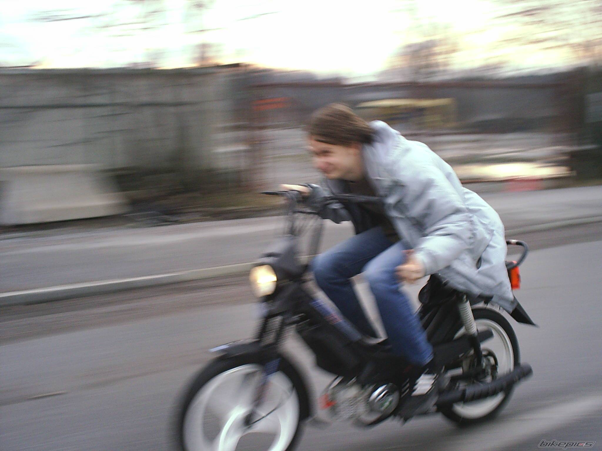 Photo 137837