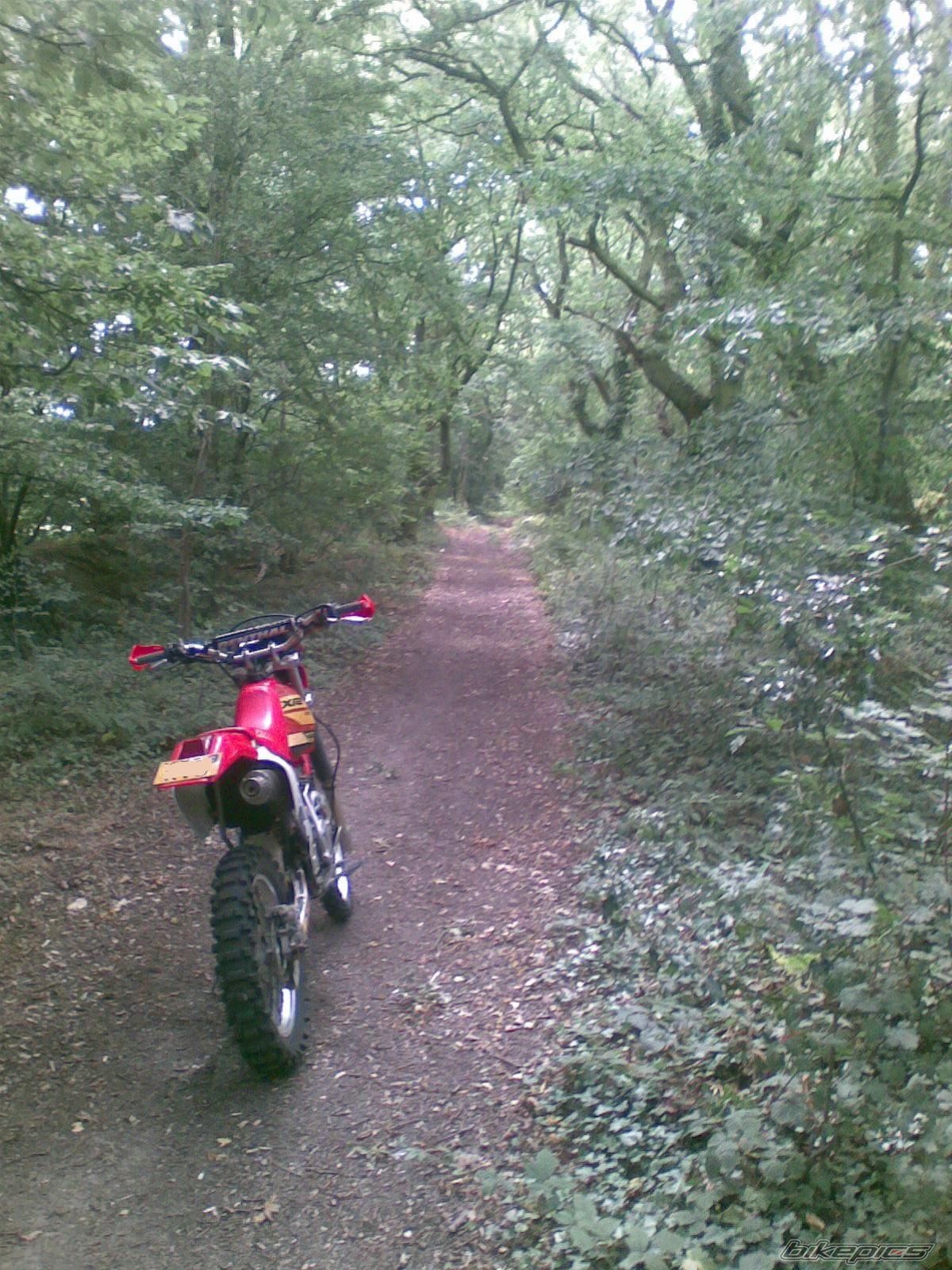 Photo 1378401