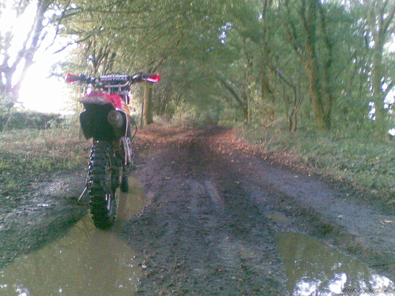 Photo 1378413