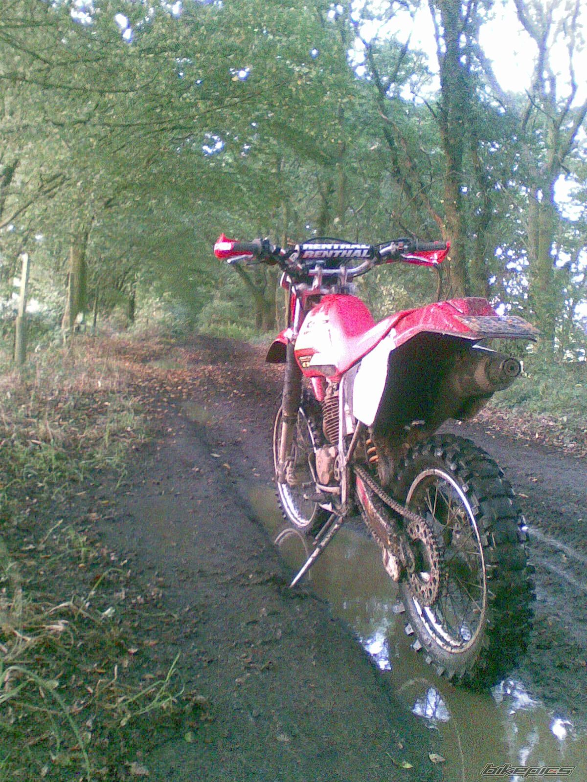 Photo 1378415