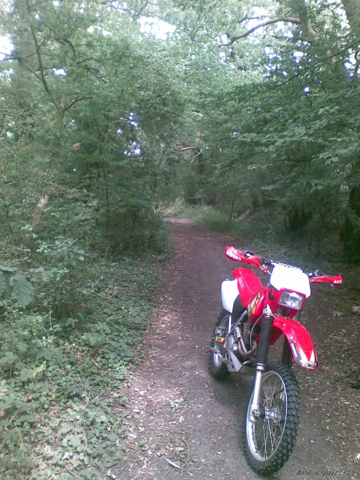 Photo 1378416