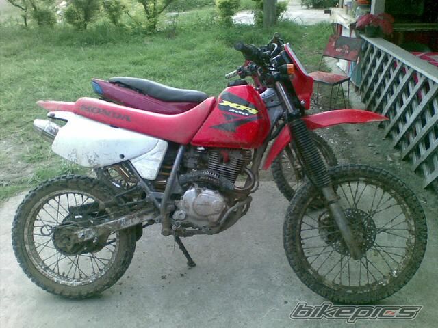Photo 1378479