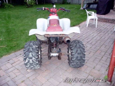Photo 1378525