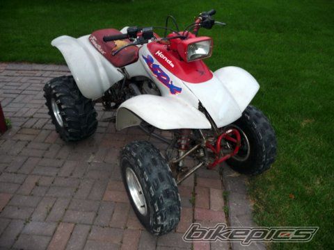 Photo 1378526
