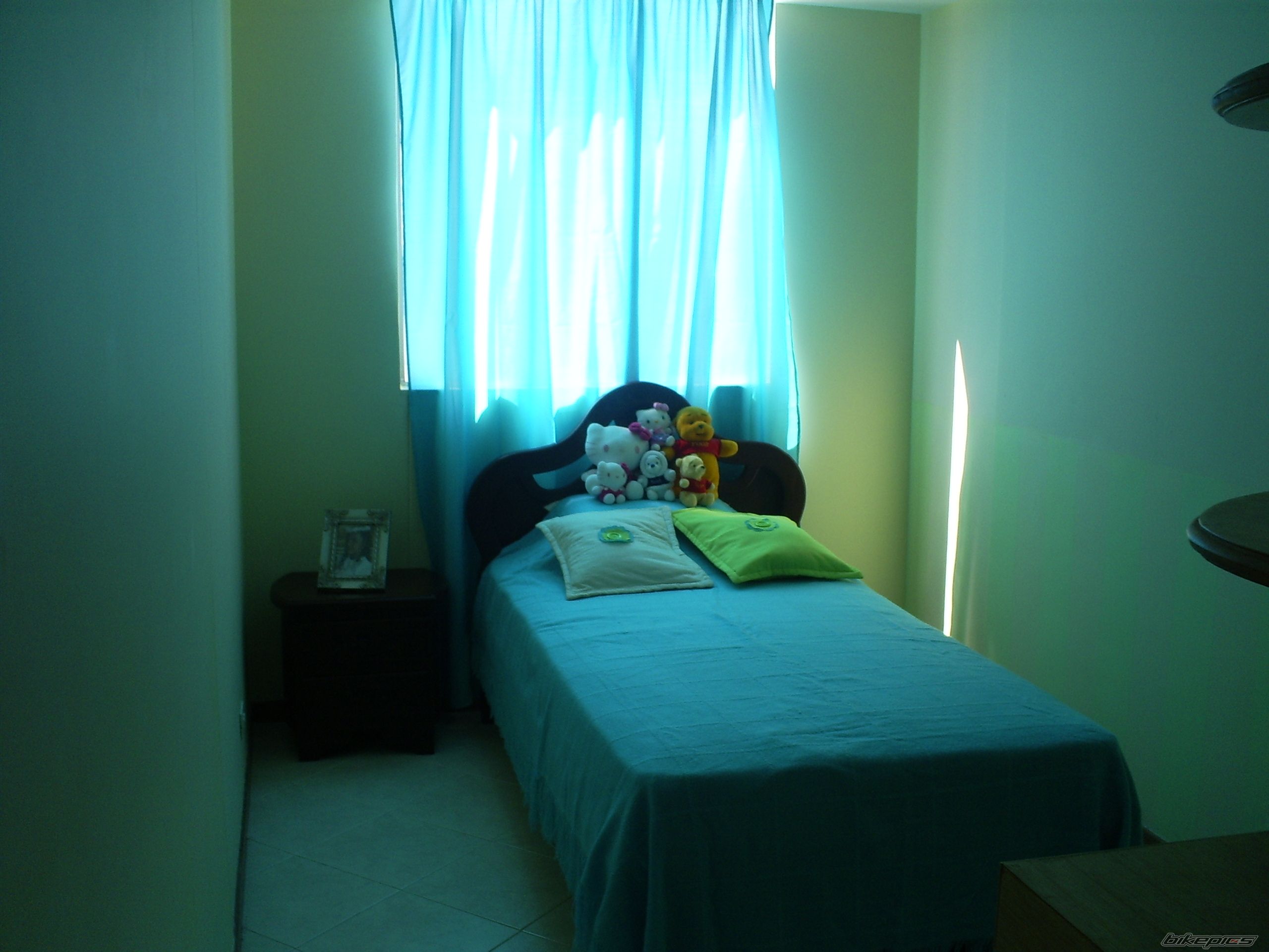 Photo 1378537