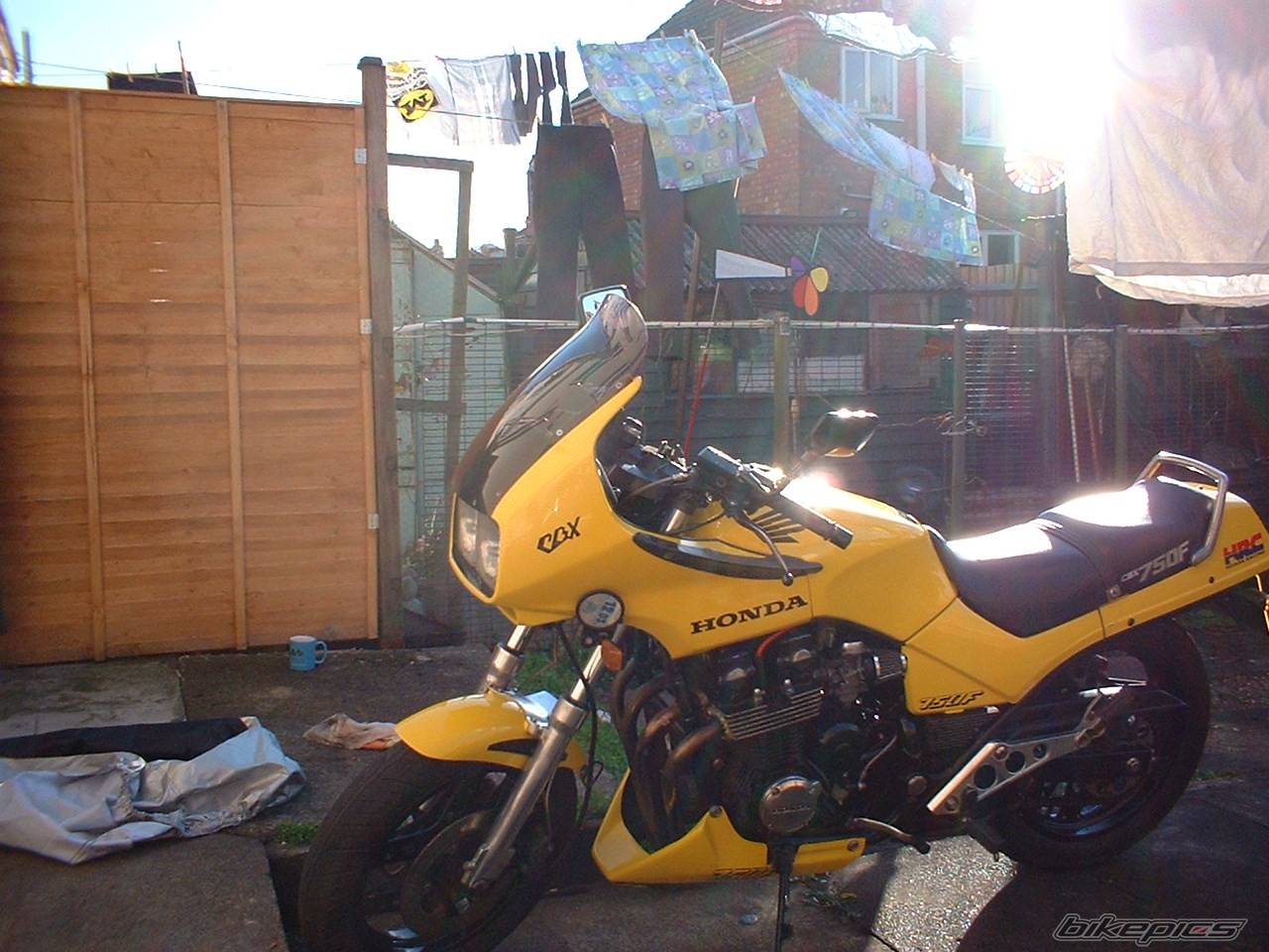 Photo 137857