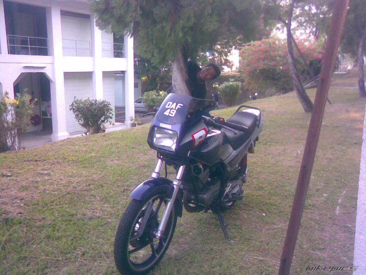 Photo 1378587