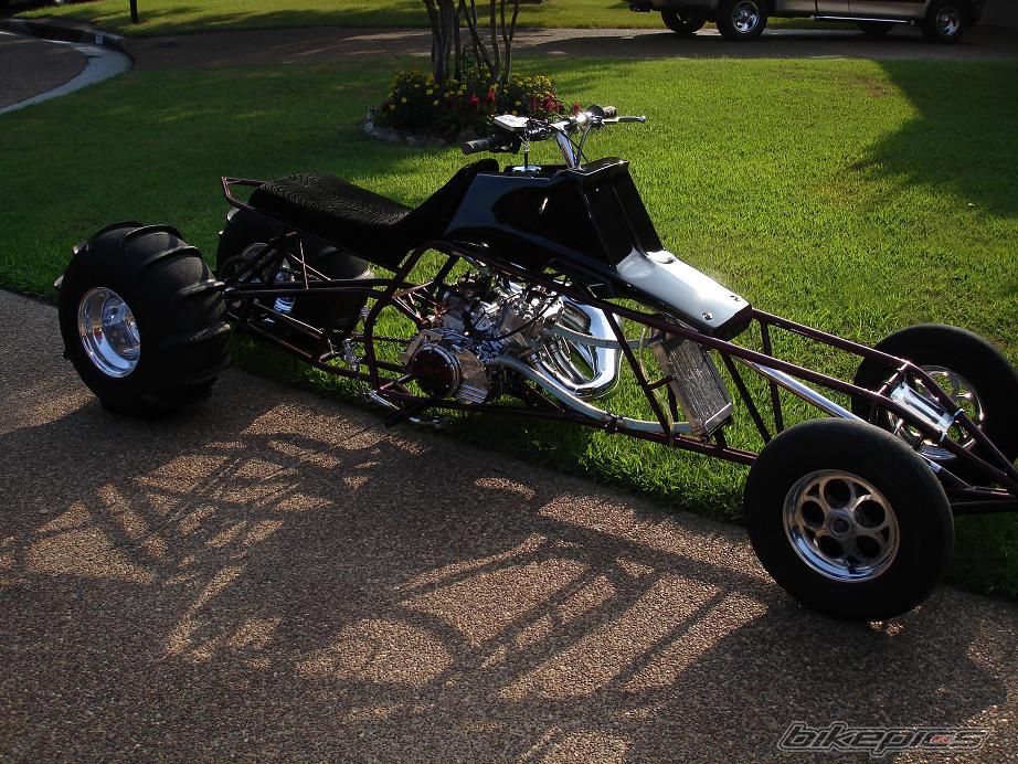Photo 1378594