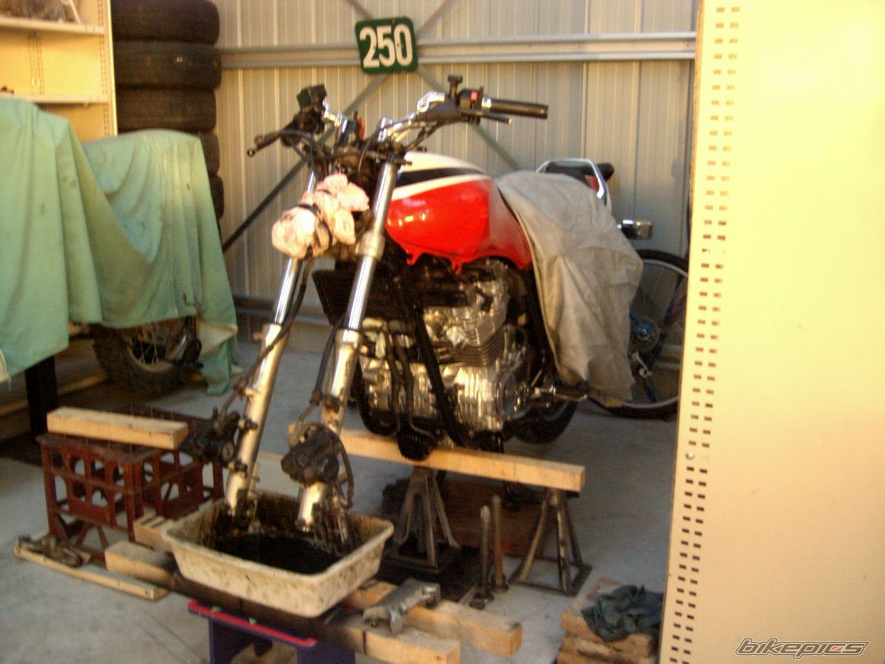 Photo 1378625