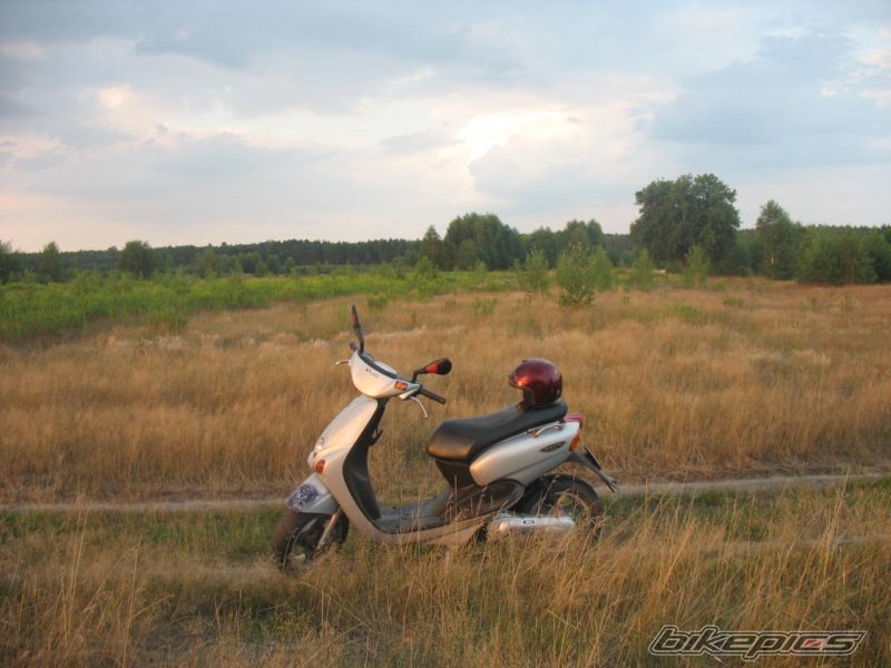 Photo 1378660