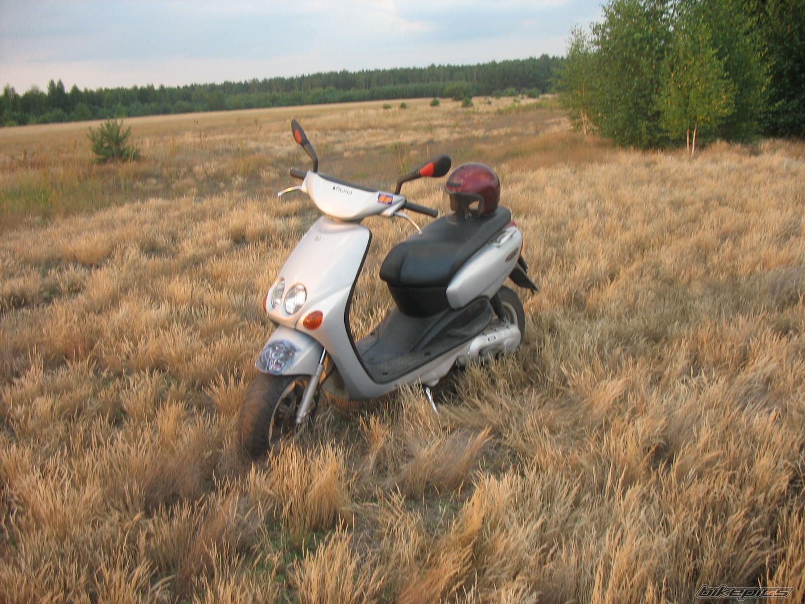 Photo 1378661