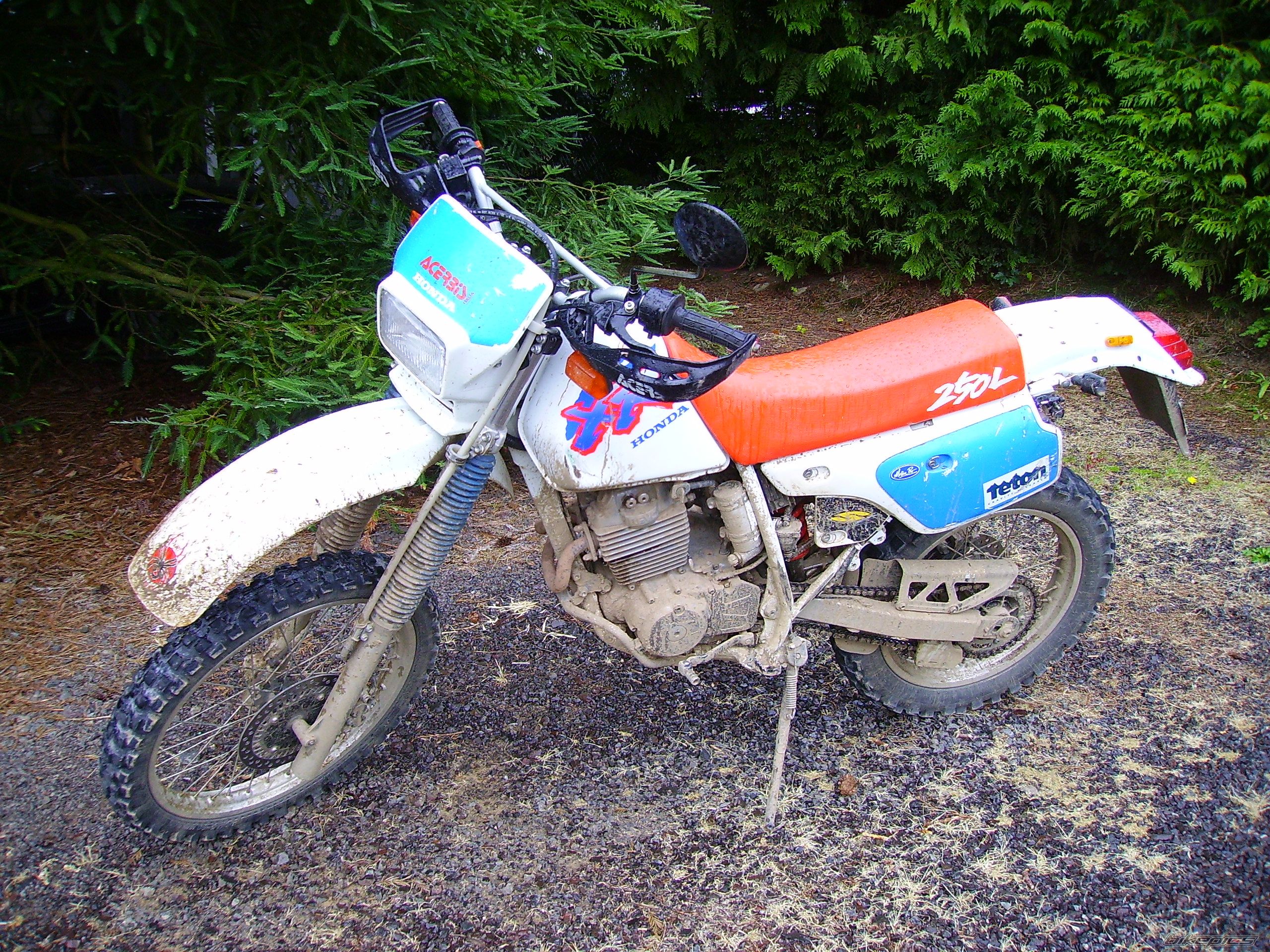 Photo 1378663