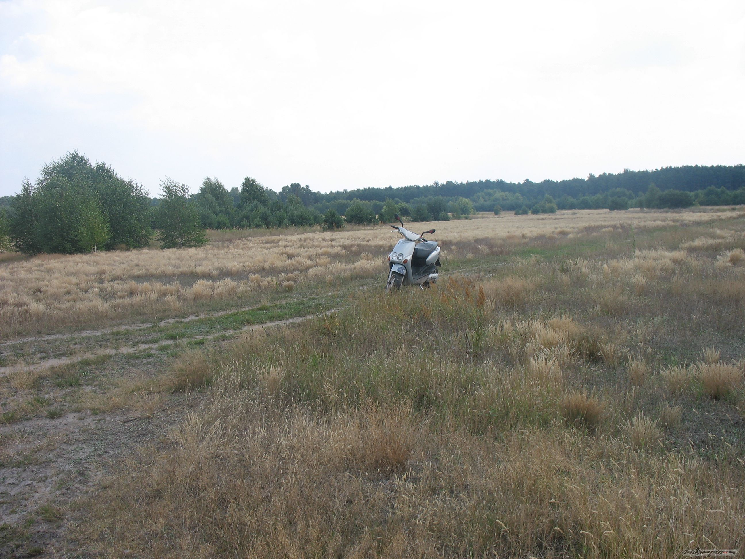 Bike Photo 1378664