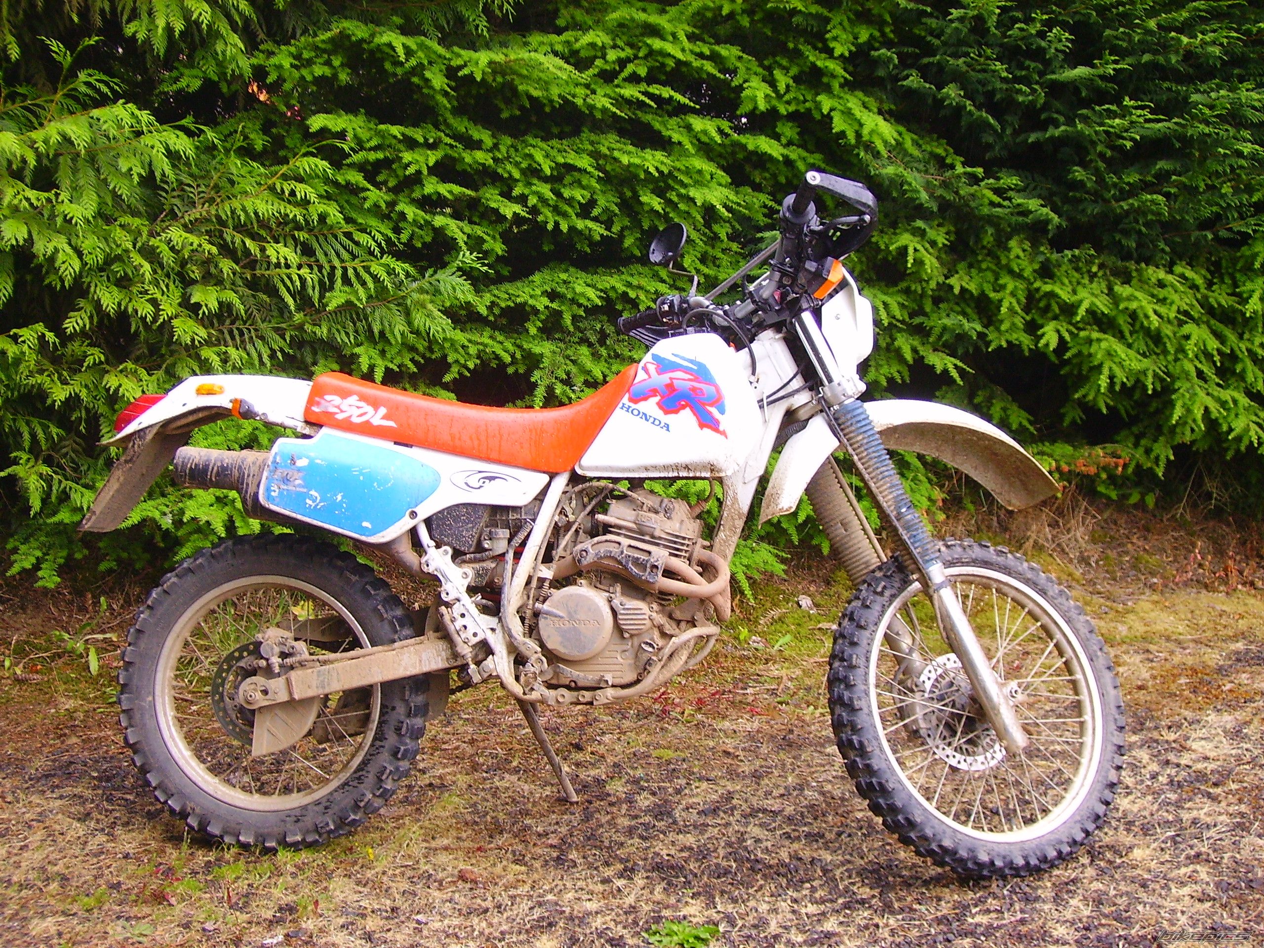 Photo 1378665