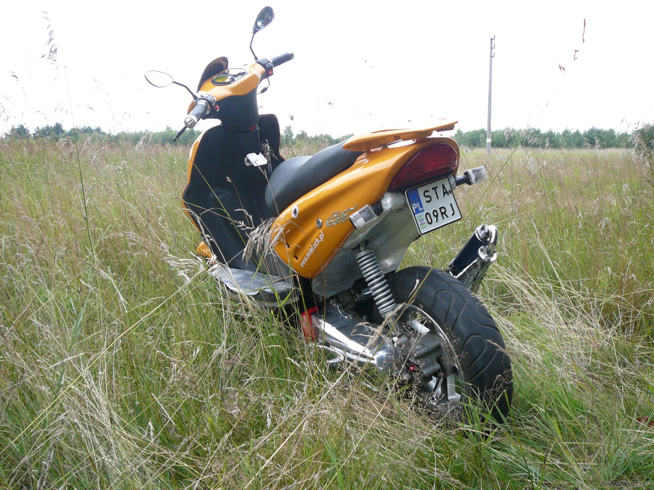 Photo 1378794