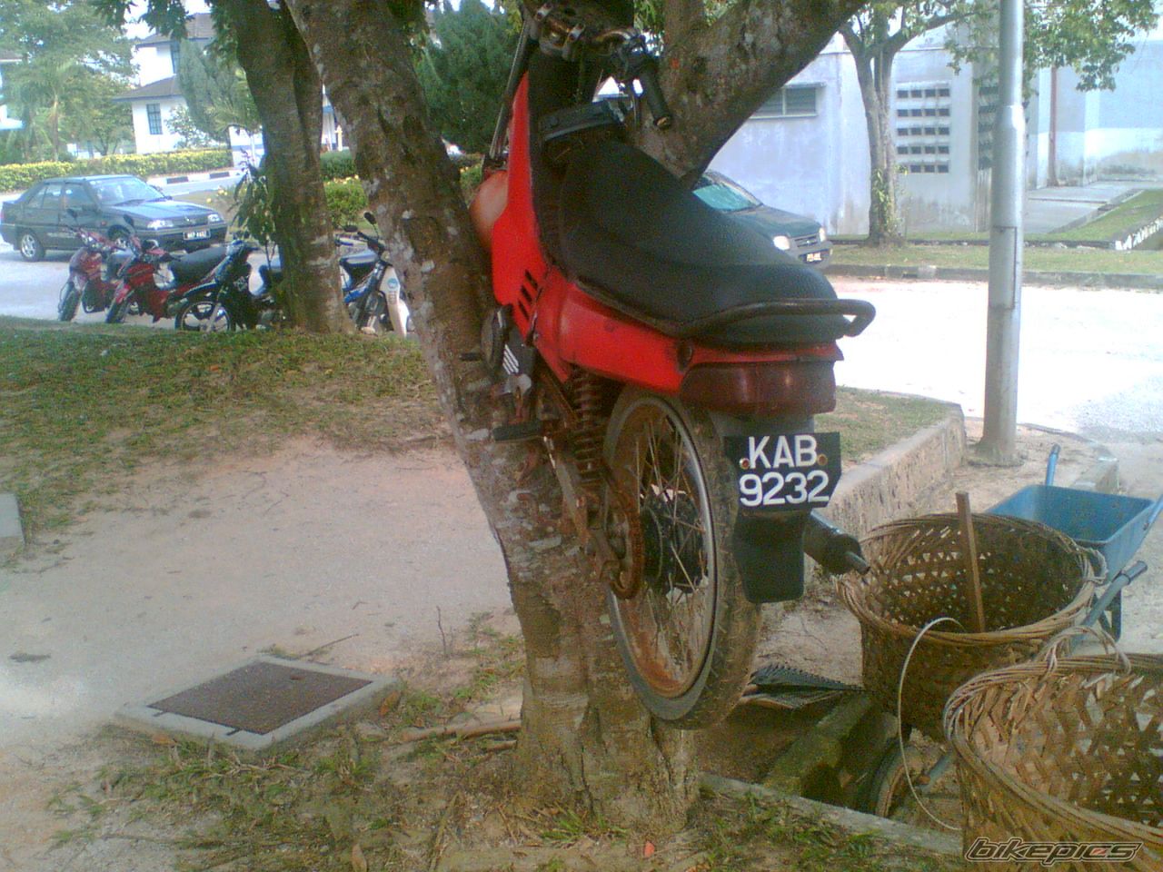 Photo 1378809