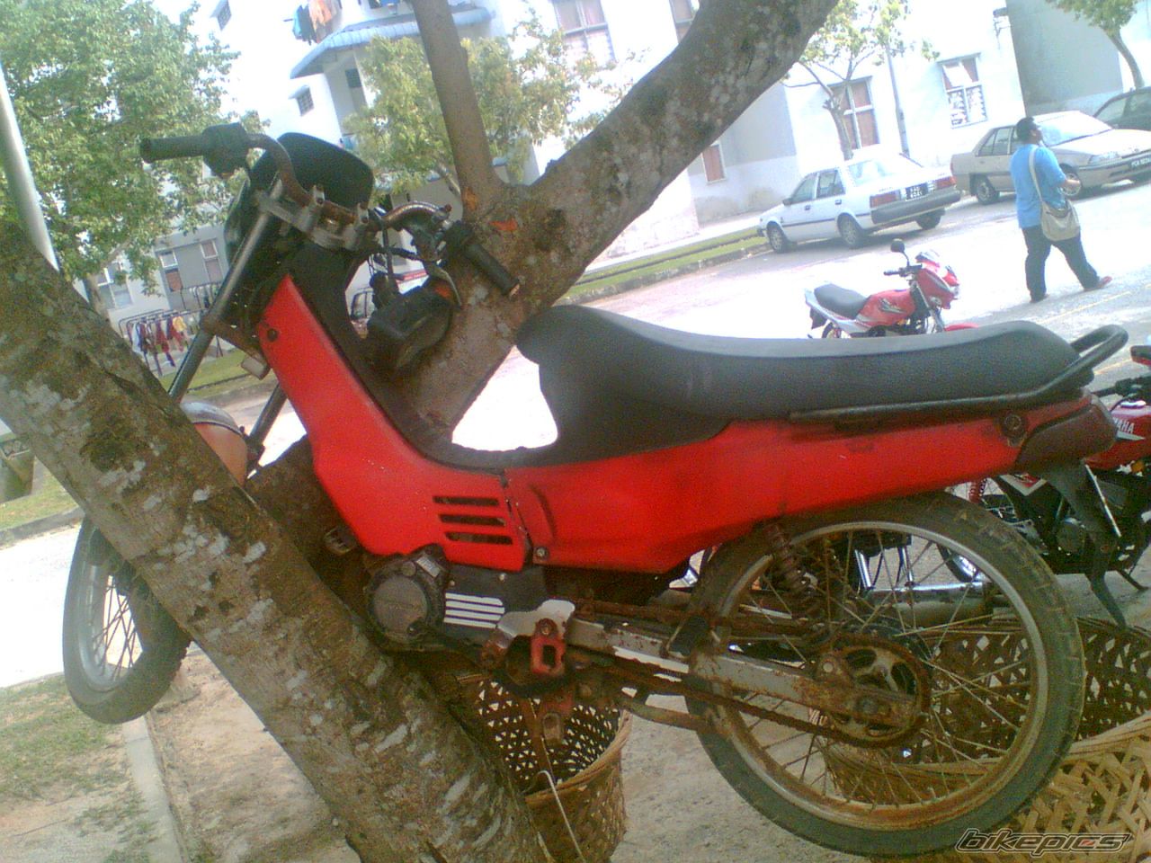Photo 1378813