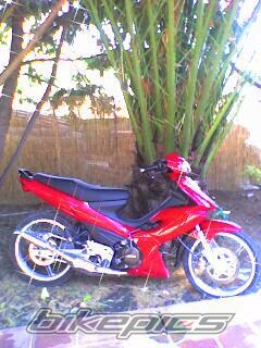 Photo 1378864