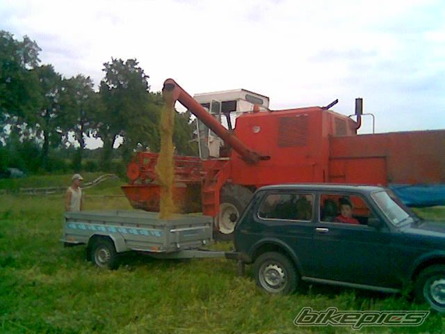 Photo 1378933