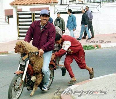 Bike Photo 1378969