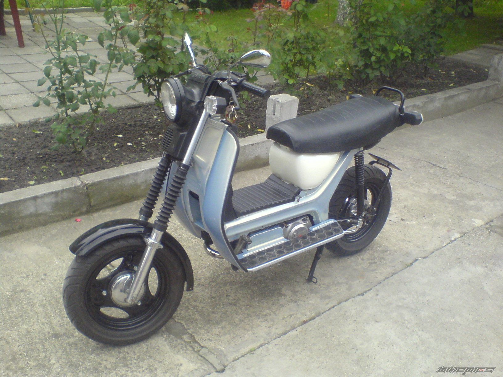 Photo 1379092