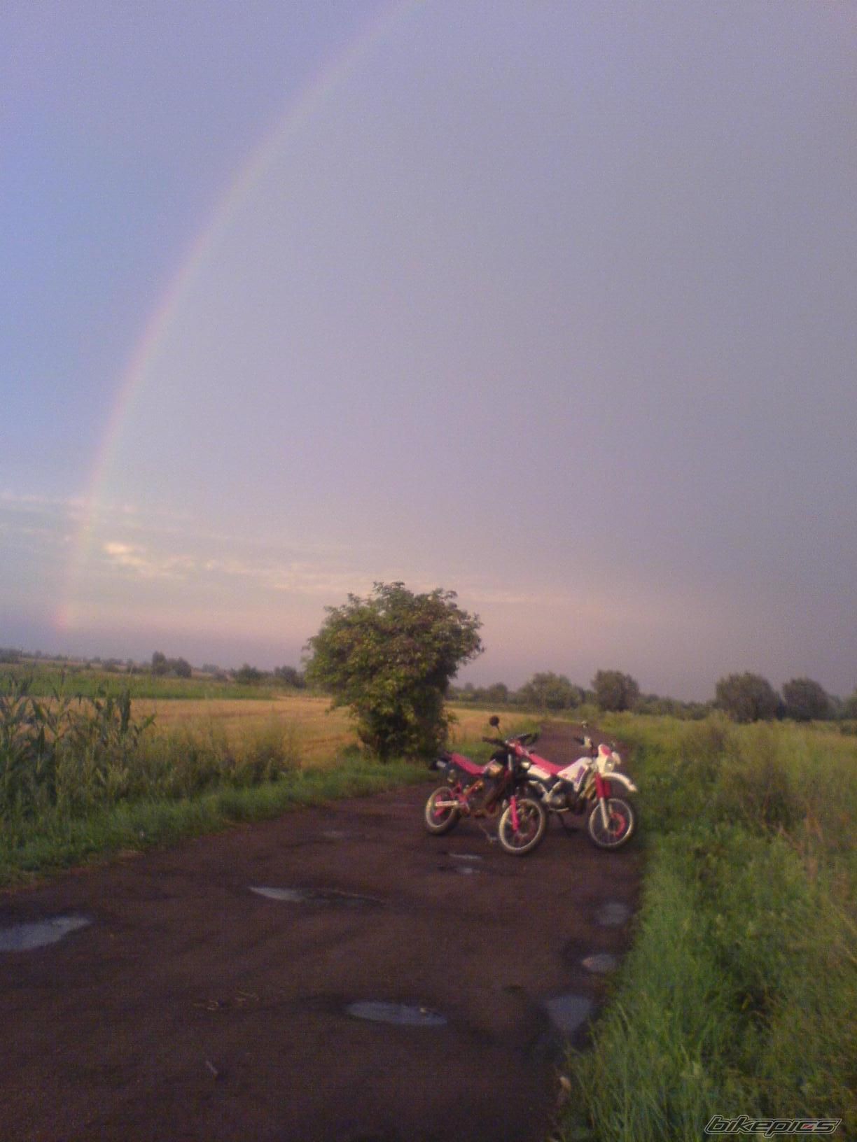 Bike Photo 1379102