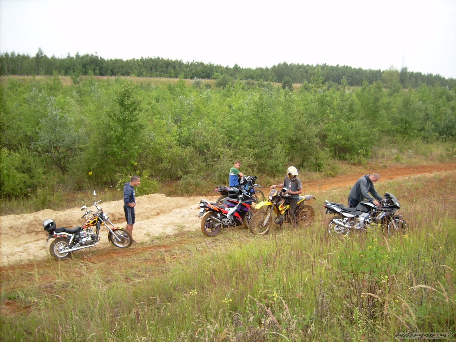 Photo 1379206