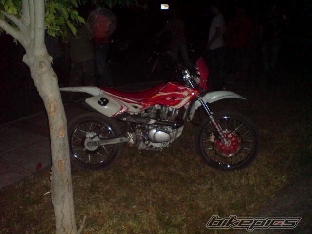 Photo 1379289
