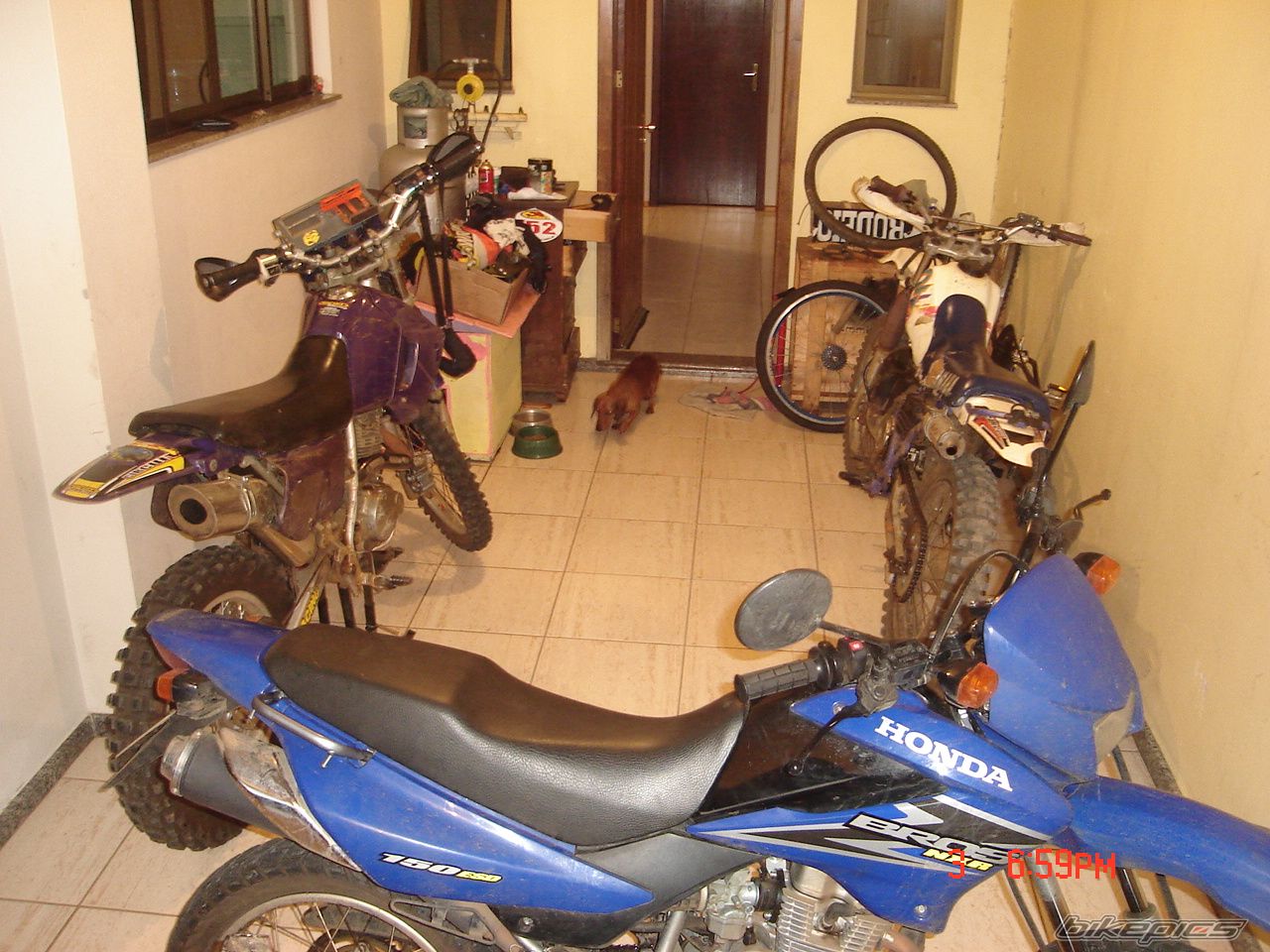 Photo 1379308