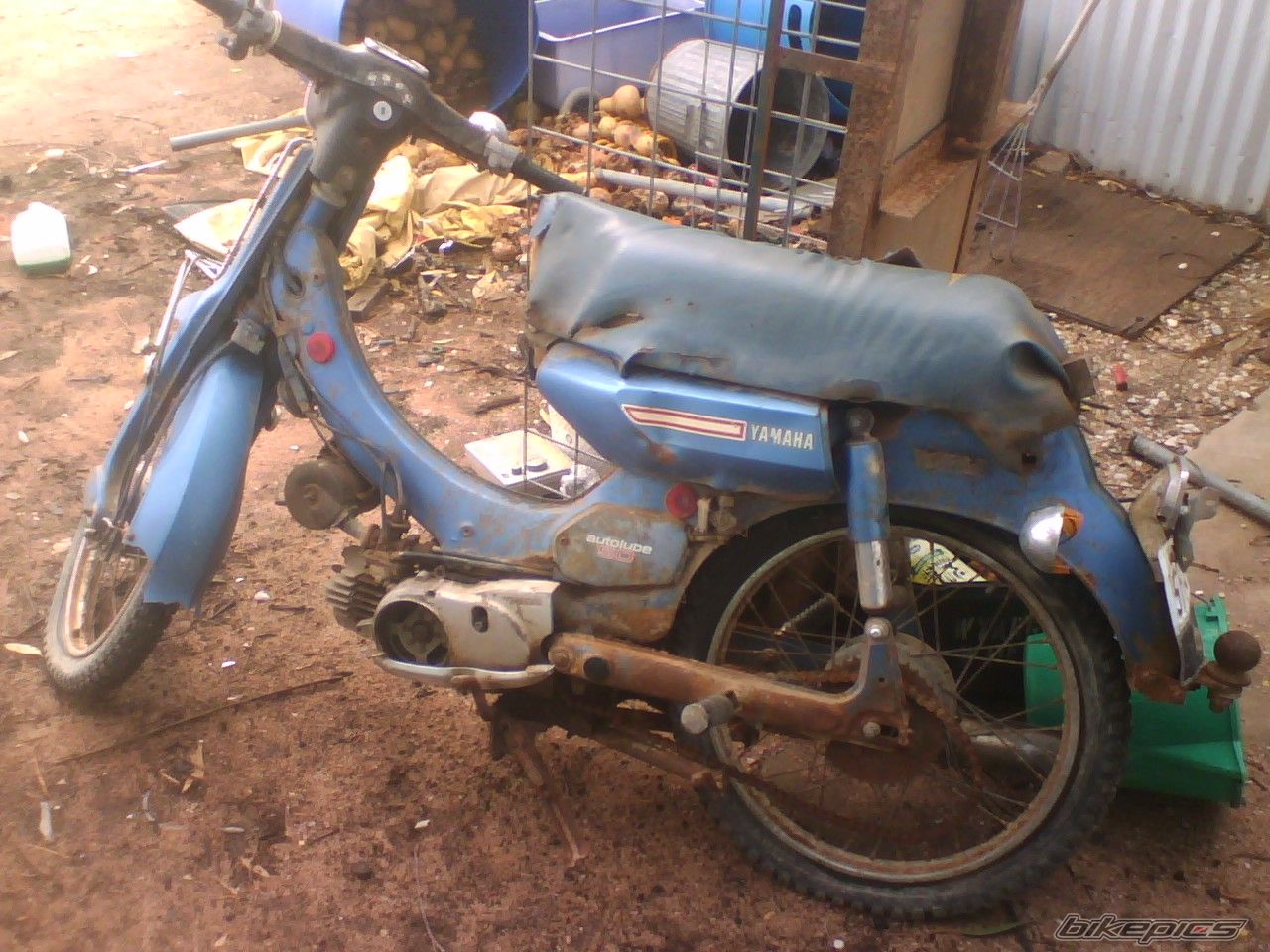 Photo 1379323