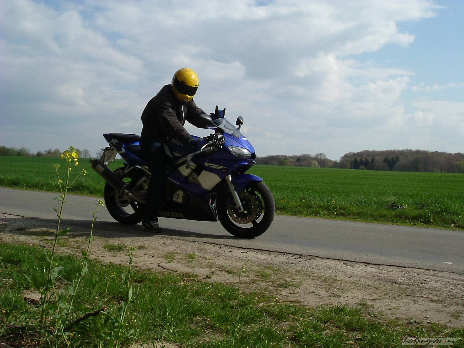 Photo 137937