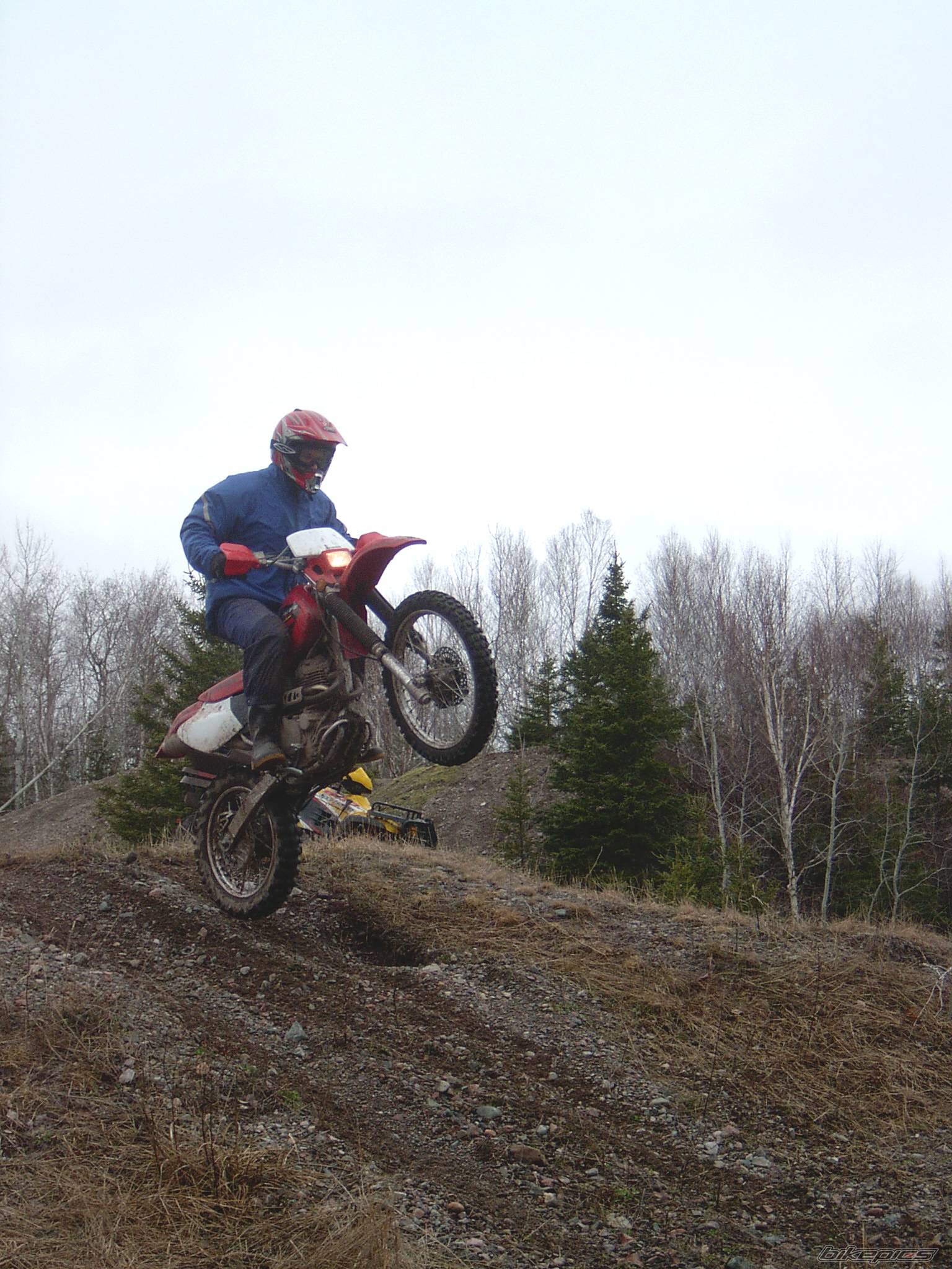 Photo 137940