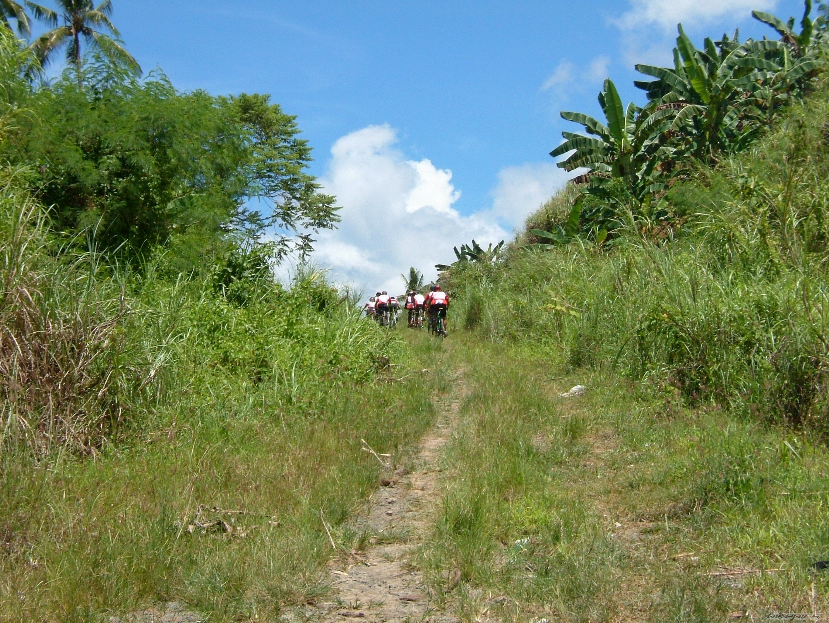 Bike Photo 1379444