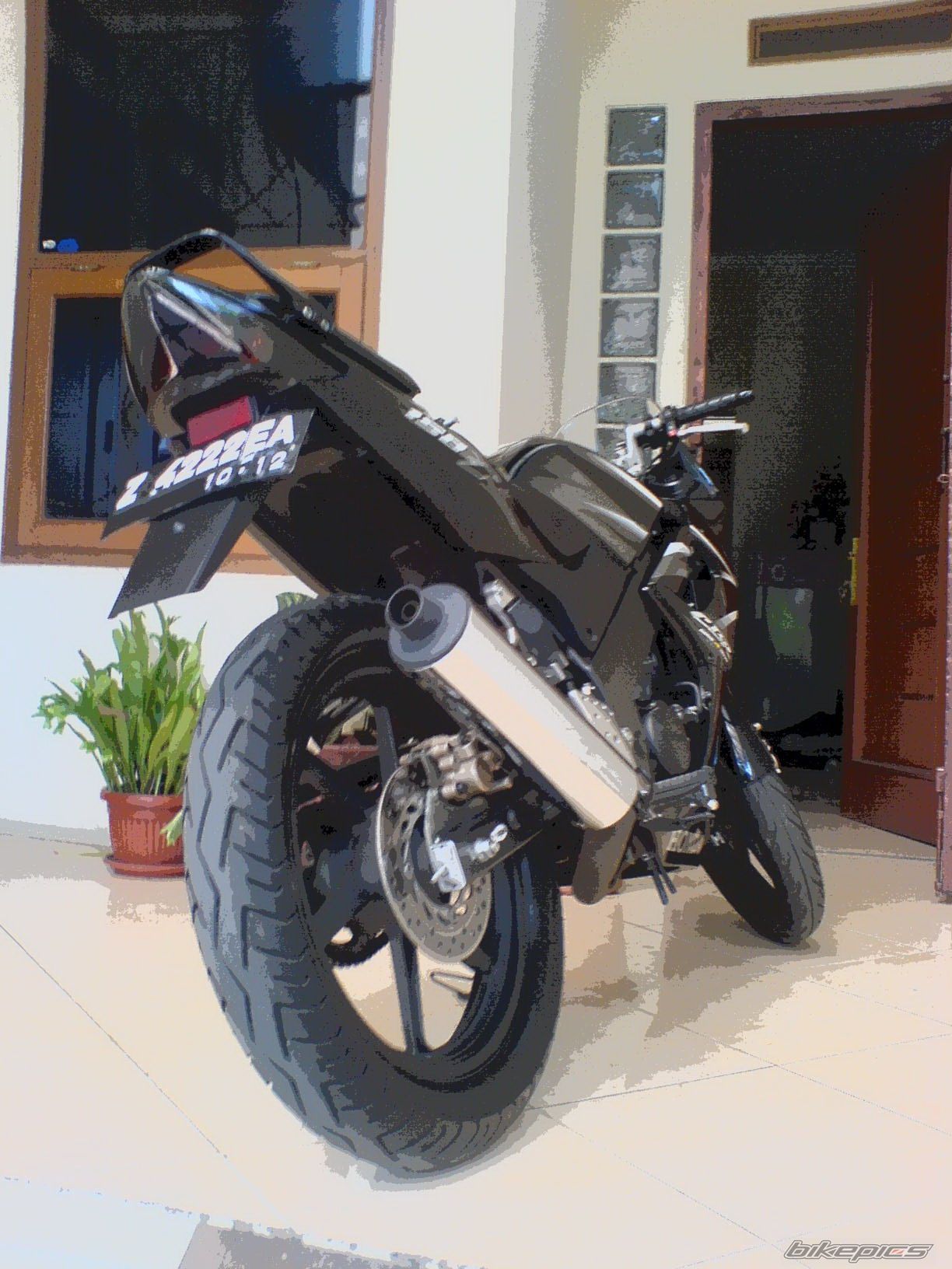 Photo 1379456