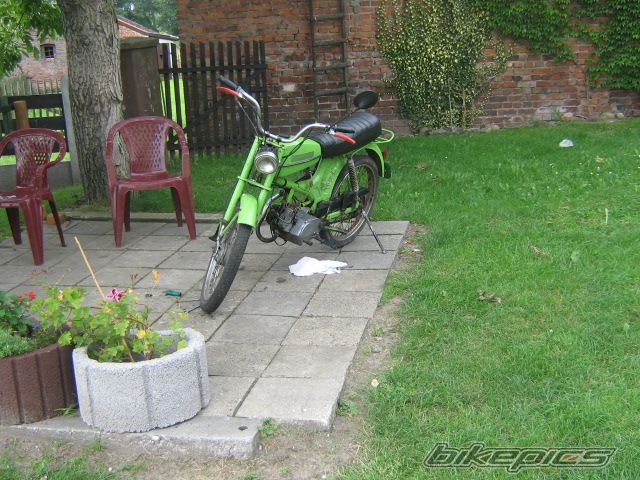 Photo 1379481