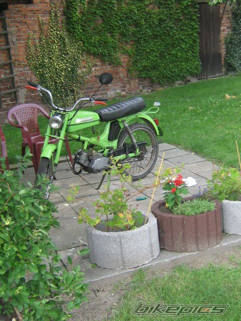 Photo 1379482