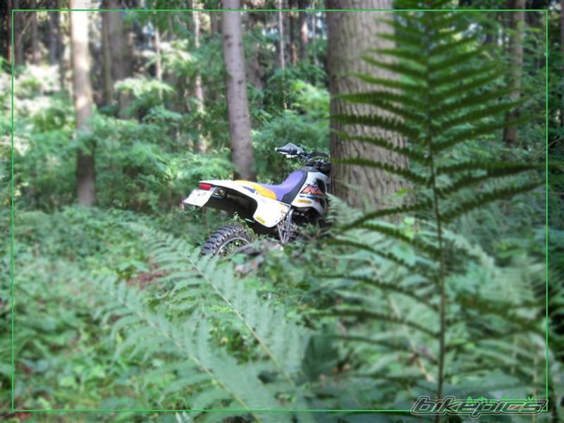 Photo 1379502