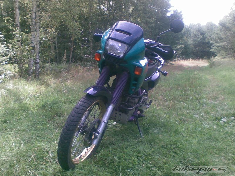 Photo 1379516