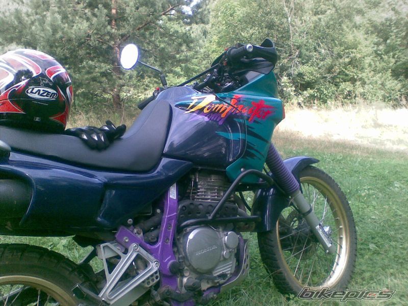 Photo 1379519
