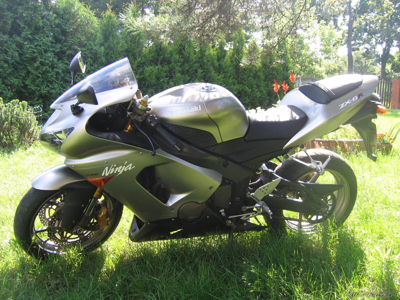Photo 1379592