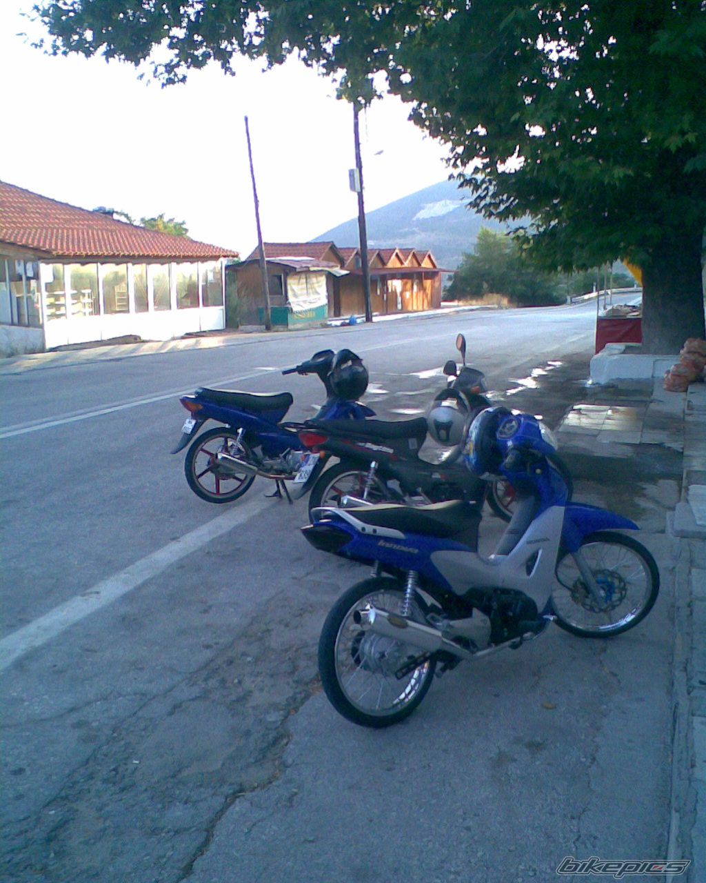 Photo 1379637