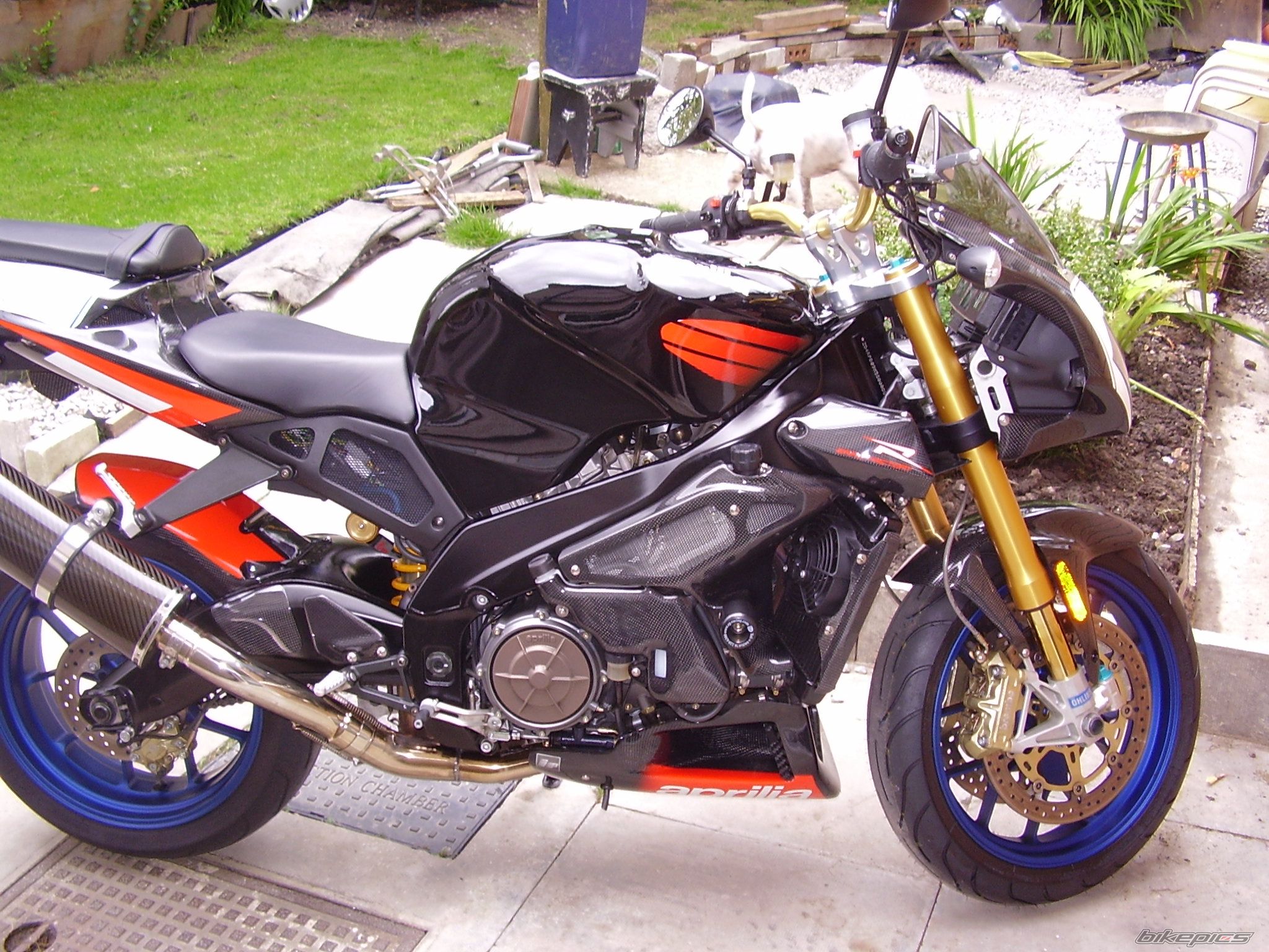 Bike Photo 1379640
