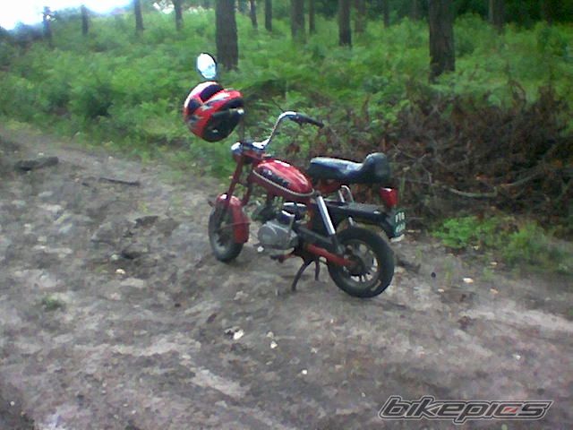 Photo 1379643